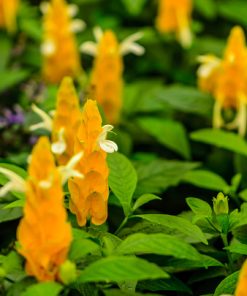istockphoto 501001162 170667a